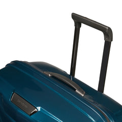 Proxis Large Spinner